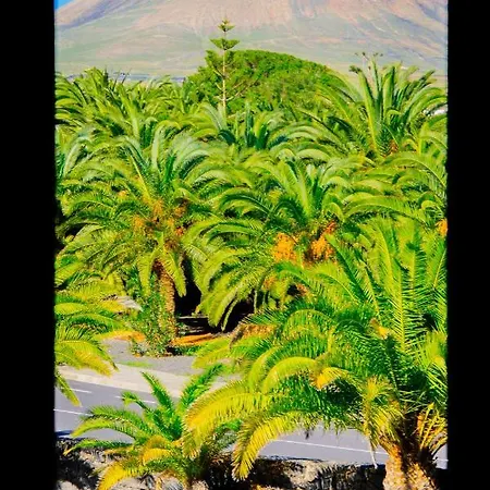 Apartment La Casa Azul *