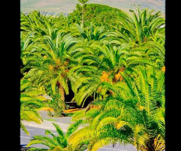 Appartement La Casa Azul *